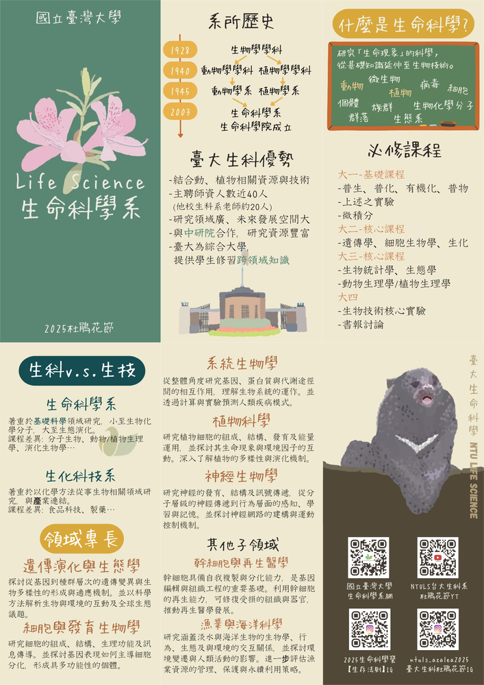 杜鵑花節三折頁