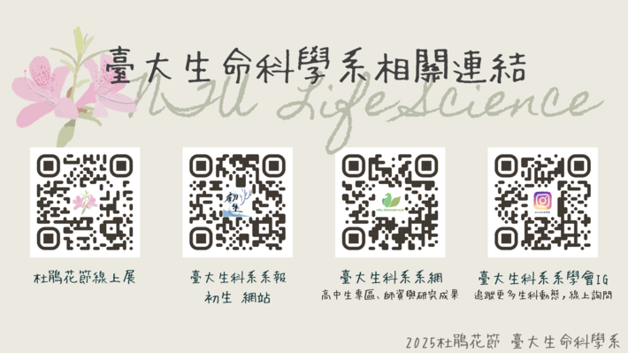 杜鵑花節相關連結