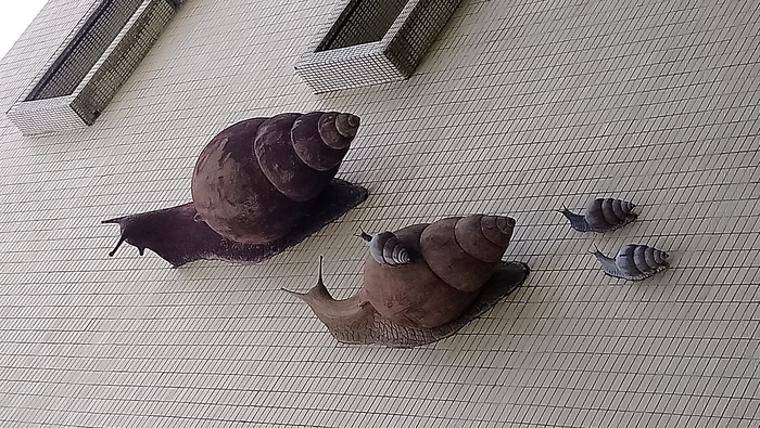 蝸牛精神